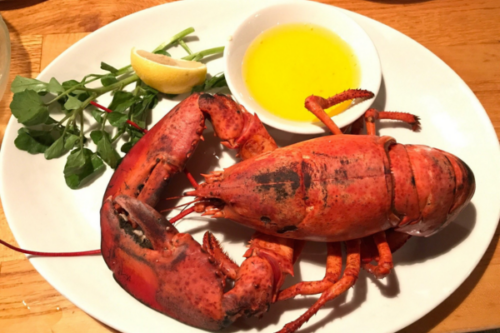 lobster land
