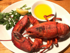 lobster land