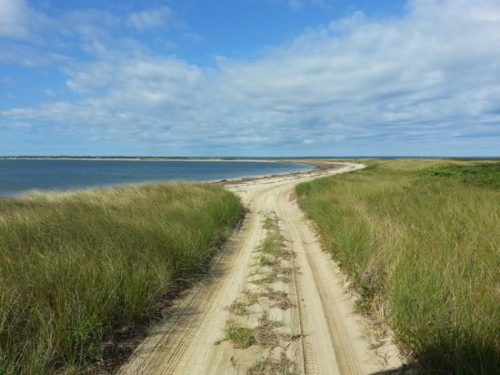 cape poge refuge
