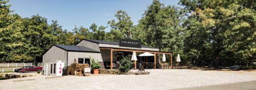 TheMarket-Webpage-Banner-1600×565