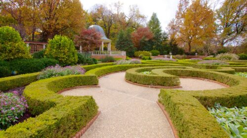 Missouri-Botanical-Gardens-And-Arboretum-28914