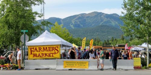 farmers market whitefish