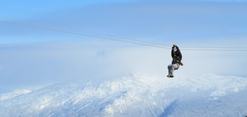 canopy tours