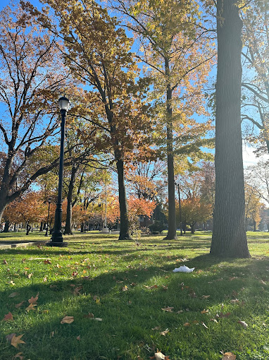Bayonne Park