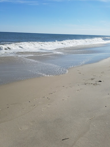 Cape May Beach