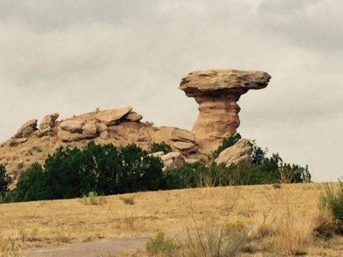 camel rock