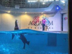 Aquarium of Niagara