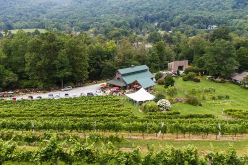 grandfather vinery