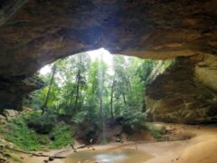 ash cave