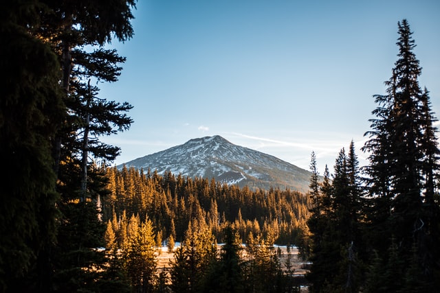 mckayla-crump-iooWFdcizKo-unsplash mckayla-crump-iooWFdcizKo-unsplash