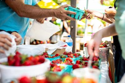 farmers market