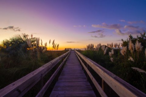 isle-of-palms-about isle-of-palms-about