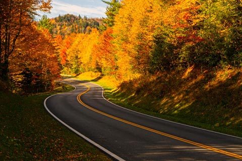 about-pigeon-forge about-pigeon-forge