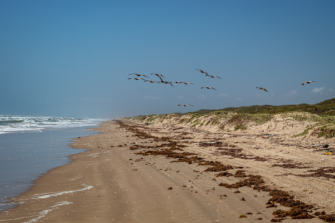 Corpus-Christi-About-600×400-1.png Corpus-Christi-About-600x400-1.png