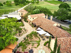 Grape Creek Vineyards on 290