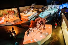 The Houston Museum of Natural Science