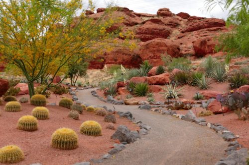 desert garden