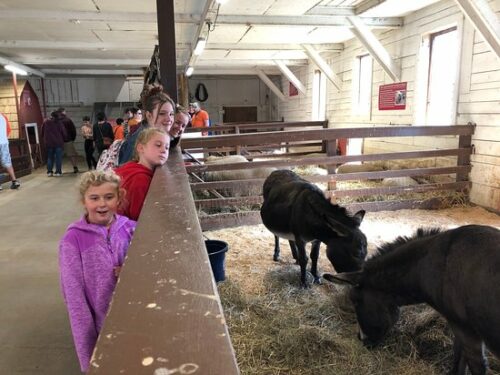 hathaway-farm