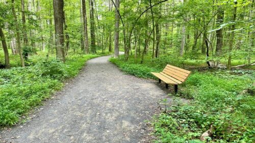 Huntley-Meadows-Park-Bench