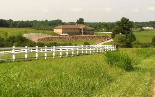 ramulose ridge vineyards