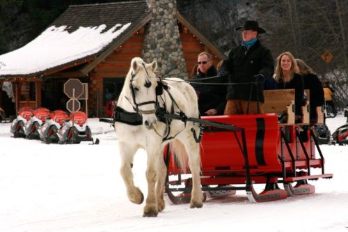 sleigh ride msl