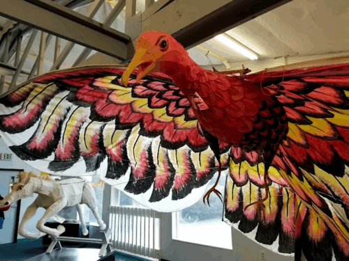 World Kite Museum & Hall-Fame