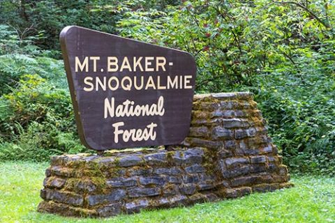 Maple Falls, Washington - July 30, 2020: Sign for the Mt Baker-Snoqualmie National Forest