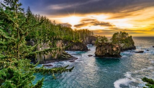 cape flattery