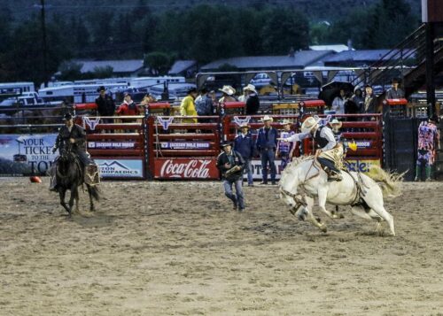 Jackson-Hole-Rodeo